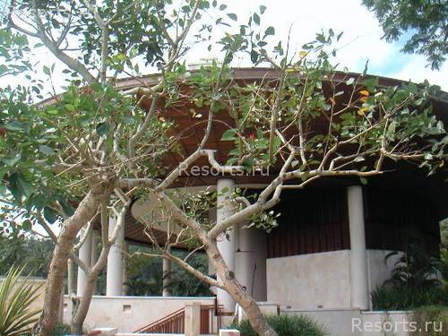 Four Seasons Resort Bali at Sayan 32